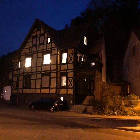 Ferienhaus Art Apartment - Harz Zorge Extérieur photo