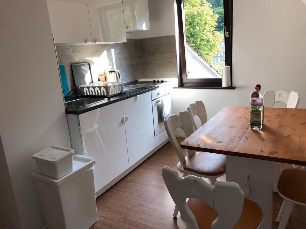 Ferienhaus Art Apartment - Harz Zorge Extérieur photo