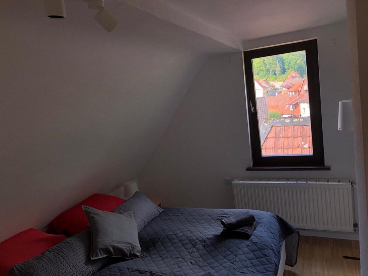 Ferienhaus Art Apartment - Harz Zorge Extérieur photo