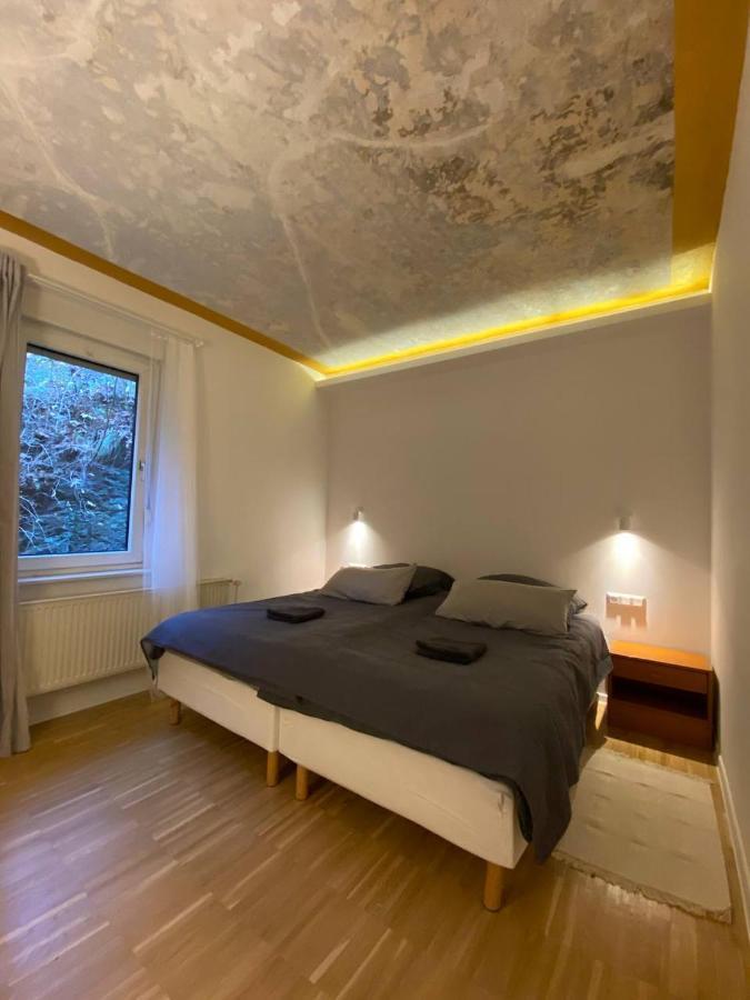 Ferienhaus Art Apartment - Harz Zorge Extérieur photo