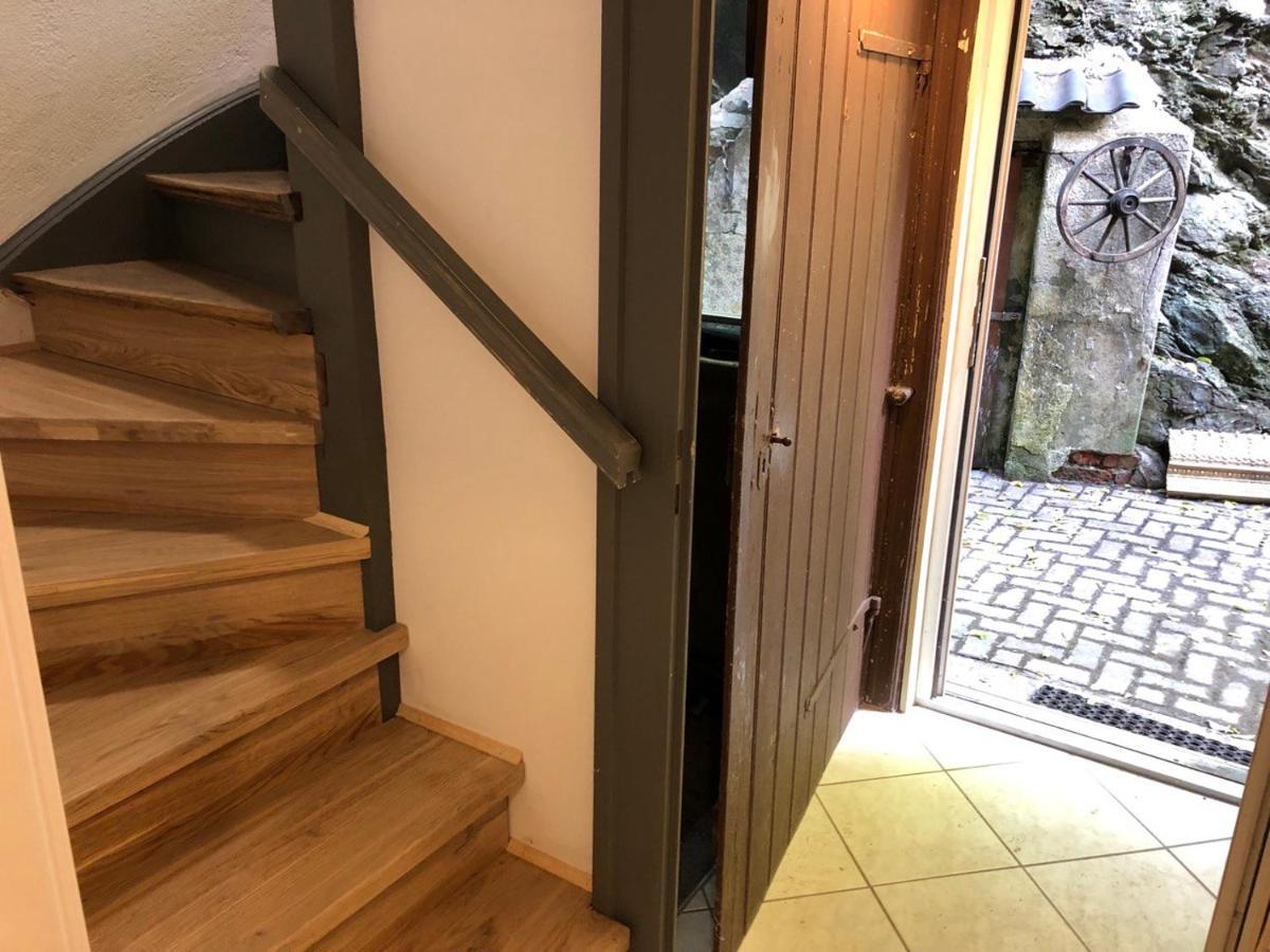 Ferienhaus Art Apartment - Harz Zorge Extérieur photo