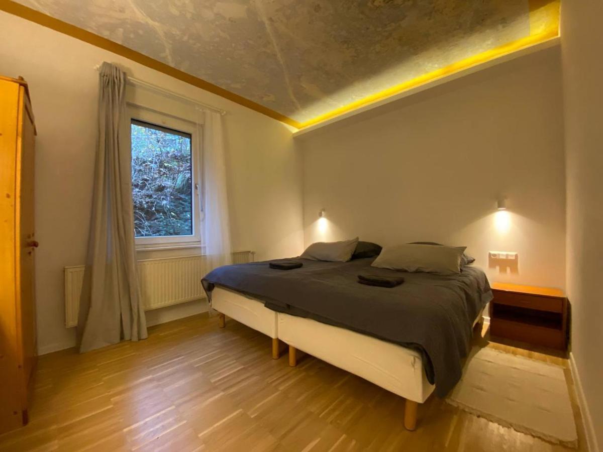 Ferienhaus Art Apartment - Harz Zorge Extérieur photo
