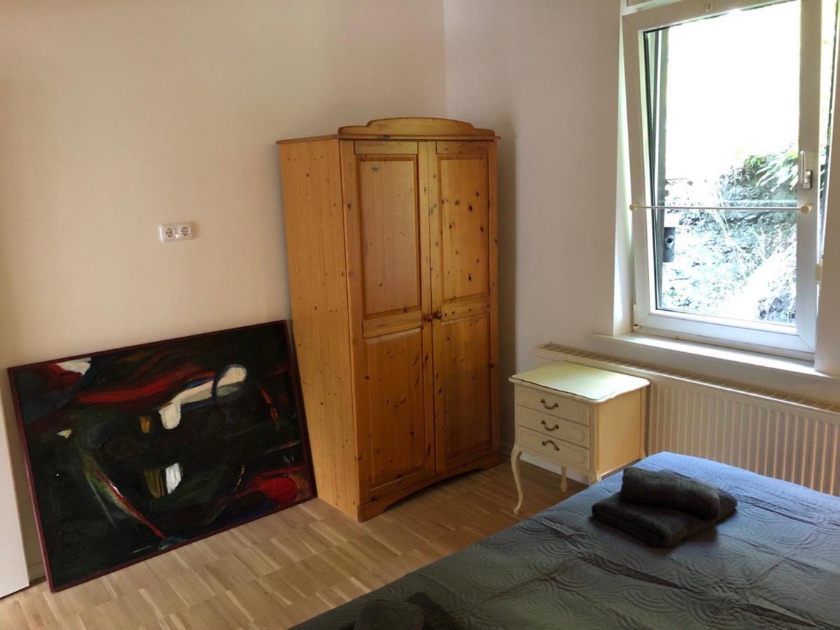 Ferienhaus Art Apartment - Harz Zorge Extérieur photo